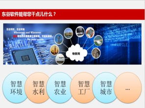 北京東谷物聯(lián)網(wǎng)遠(yuǎn)程測(cè)控系統(tǒng) 自動(dòng)化軟件研發(fā)的核心價(jià)值與實(shí)踐